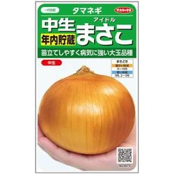 タマネギ 中生年内貯蔵 アイドル まさこ 1袋