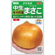 タマネギ 中生年内貯蔵 アイドル まさこ 1袋