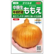 タマネギ 中晩生年明貯蔵 アイドル ももえ 1袋