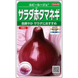 赤タマネギ サラダ赤タマネギ ルビールージュ 1袋