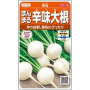 ダイコン まんまる辛味大根 辛丸 1袋