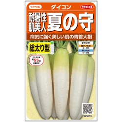 ダイコン 耐暑性肌美人 夏の守 1袋