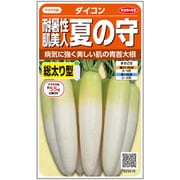 ダイコン 耐暑性肌美人 夏の守 1袋