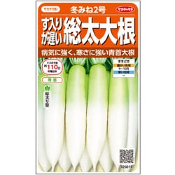 ダイコン す入りが遅い 冬みね2号 1袋