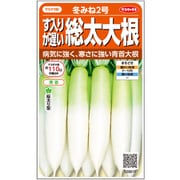 ダイコン す入りが遅い 冬みね2号 1袋