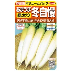 ダイコン 徳用袋 あまうま総太り冬自慢 1袋