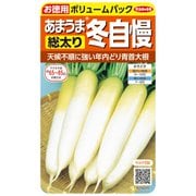 ダイコン 徳用袋 あまうま総太り冬自慢 1袋