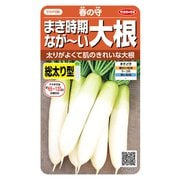 ダイコン まき時期ながーい 大根 春の守 1袋