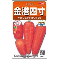 ニンジン 金港四寸 1袋
