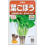 ゴボウ 葉ごぼう 小袋 1袋