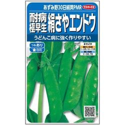 エンドウ 耐病極早生絹さや あずみ野30日絹莢PMR 1袋