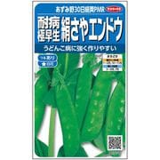 エンドウ 耐病極早生絹さや あずみ野30日絹莢PMR 小袋 約85粒 1袋