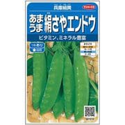エンドウ つるあり白花 絹さやエンドウ 兵庫絹莢 小袋 約125粒 1袋