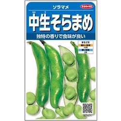 ソラマメ 中生大粒そらまめ 1袋