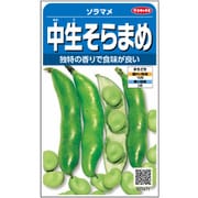 ソラマメ 中生大粒そらまめ 1袋