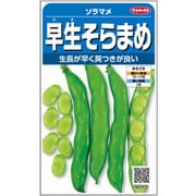 ソラマメ 早生多粒そらまめ 1袋
