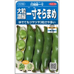 ソラマメ 大粒濃緑 一寸そらまめ 打越緑一寸 1袋