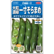 ソラマメ 大粒濃緑 一寸そらまめ 打越緑一寸 1袋