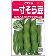 ソラマメ 一寸そら豆 1袋