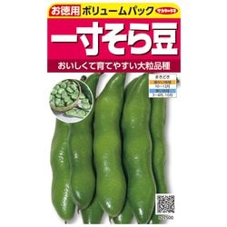 ヨドバシ.com - サカタのタネ ソラマメ 徳用袋 一寸そら豆 小袋 約15粒 