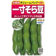 ソラマメ 徳用袋 一寸そら豆 1袋