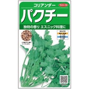 ハーブ コリアンダー パクチー 1袋