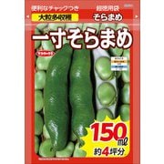 ソラマメ 超徳用袋 一寸ソラマメ 1袋