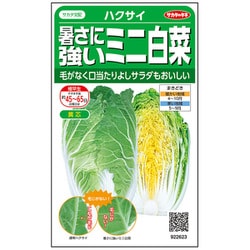 ハクサイ 暑さに強い ミニ白菜 タイニーシュシュ 1袋