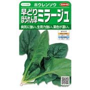 ホウレンソウ 早どりほうれん草 ミラージュ 1袋