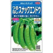 エンドウ つるなしスナック ホルンスナック 1袋