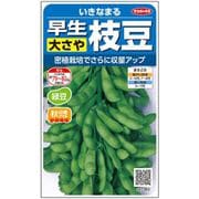 エダマメ 早生大さや枝豆 いきなまる 小袋 約40粒 1袋