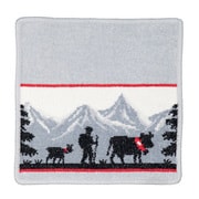 ハンドタオル 並行輸入品 Schweiz 214 Platin Grey Face Cloth FEILER