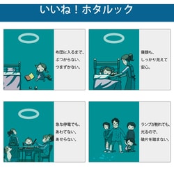 ☆在庫処分 ホタルクス ホタルックα 直管 20形+20形 20形2P 1594その他