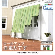 ロールアップ洋風たてす 幅300×高さ240cm 2SET RECTO(レクト) SH-05-84042-2SET グリーン