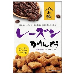 ヨドバシ Com 山脇製菓 レーズンかりんとう 100g 通販 全品無料配達