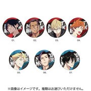 ハイドライバーズ メタリック缶バッジ 第1弾 BOX A 1個 [コレクショントイ]