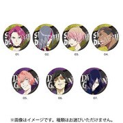 ハイドライバーズ メタリック缶バッジ 第1弾 BOX B 1個 [コレクショントイ]