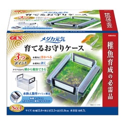 メダカ元気 育てるお守りケース
