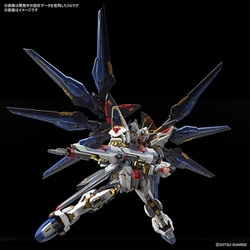 ヨドバシ.com - バンダイスピリッツ MGEX 1/100 機動戦士ガンダムSEED