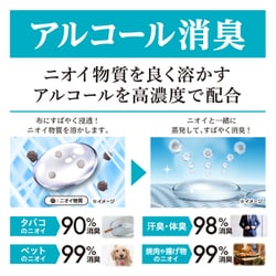 白元アース ノンスメル清水香金木犀の香り×10 Amazon.co.jp: 白元アース ノンスメル清水香 金木犀の香り 本体