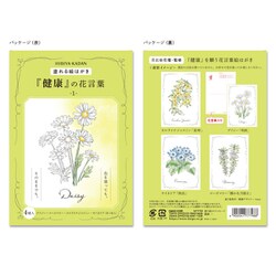 ヨドバシ Com ダイゴー N7798 塗り絵ポストカード 健康の花言葉 1 通販 全品無料配達
