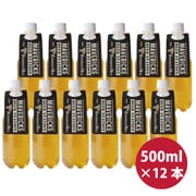 ペットボトル生ビール ドイツ クラフトビール Schwarzbrau Bayern Helles（シュヴァルツブロイ バイエルンヘレス）5度 500ml 12本 [ビール]