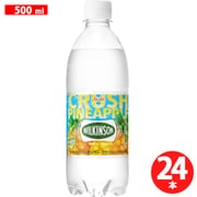 限定 ウィルキンソン タンサン クラッシュパイナップル PET500ml×24本 [炭酸]