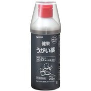 健栄うがい薬 250ml [第3類医薬品 うがい薬]