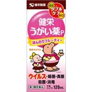 健栄うがい薬P 120ml [第3類医薬品 うがい薬]