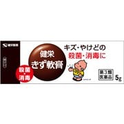 健栄きず軟膏 5g [第3類医薬品 殺菌消毒剤]