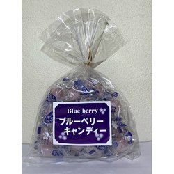ブルーベリーキャンディー 180g
