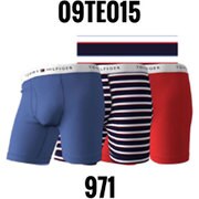 3枚組 ボクサーパンツ 並行輸入品 09TE015 971 Lサイズ