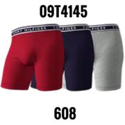 3枚組 ボクサーパンツ 並行輸入品 09T4145 608 Lサイズ