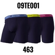 3枚組 ボクサーパンツ 並行輸入品 09TE001 463 Lサイズ